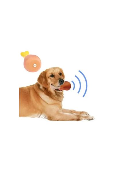 Tilmiz Sound Toy Chicken Boote for Dogs