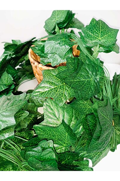 OSO HOME A+A KALİTE 12 Dal  Canlı Renk Hadera Büyük Yapraklı  Yapay Sarmaşık 240 Cm Ev Dekorasyonu