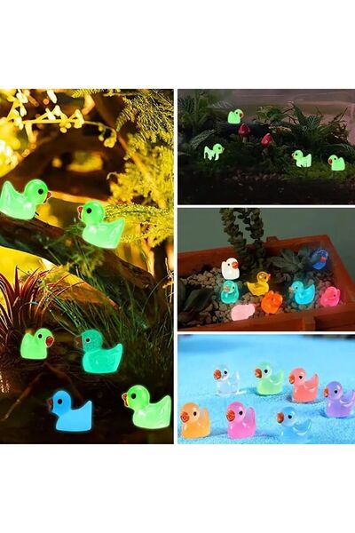ruvas Karanlıkta Parlayan Fosforlu Mini Ördek Seti Teraryum Çiçek Altlığı Akv...