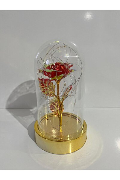 rkm store Sevgililer Ve Anneler Gününe Özel Dekoratif Solmayan Sonsuzluk Gül Işıklı Fanus Işıklı Gold Fanus