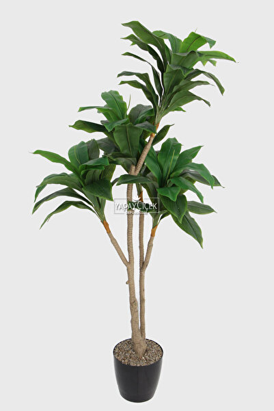 Yapay Çiçek Deposu Yapay Ağaç Lüx 4 Gövdeli Cordyline 180 cm Yeşil