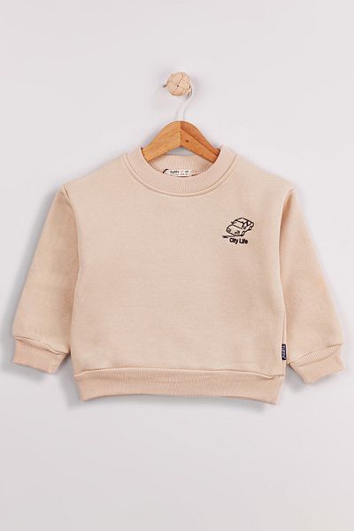 Harika KIDS Boy's 2-Pack Thick Back Printed Sweatshirt