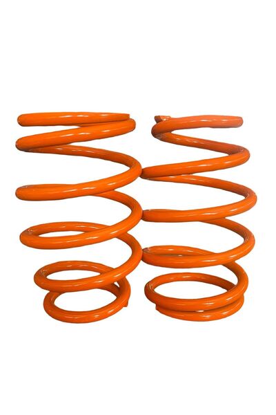 Namiştain Amortisör Namiştain | 2015 Model Polo Uyumlu Arka Spor Yay - 3.5 cm