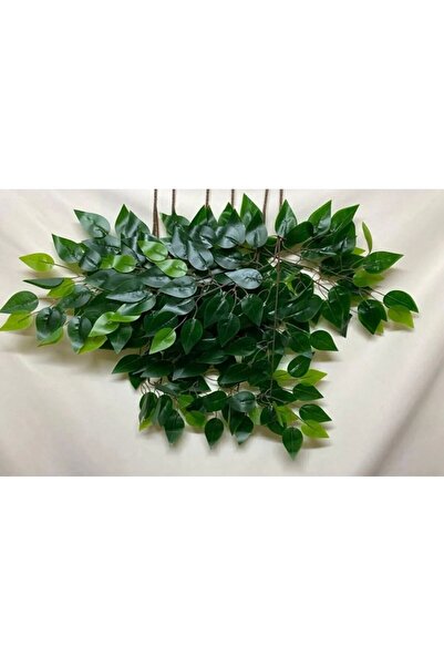 ŞA-DAL STORE 6' Lı Islak Dokulu Benjamin Yaprağı