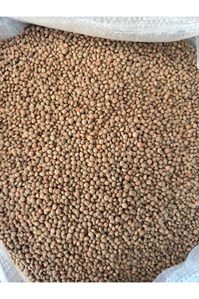 Tat Yeşil Köy Mercimeği 1 KG