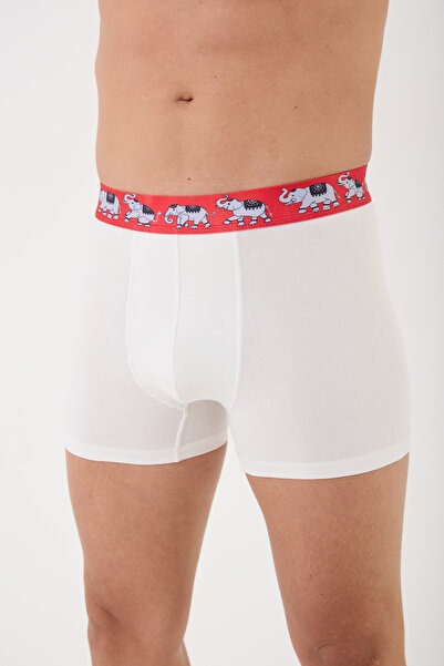 Saint Sail Gift Cotton Comfortable Printed Colorful Men's Boxers