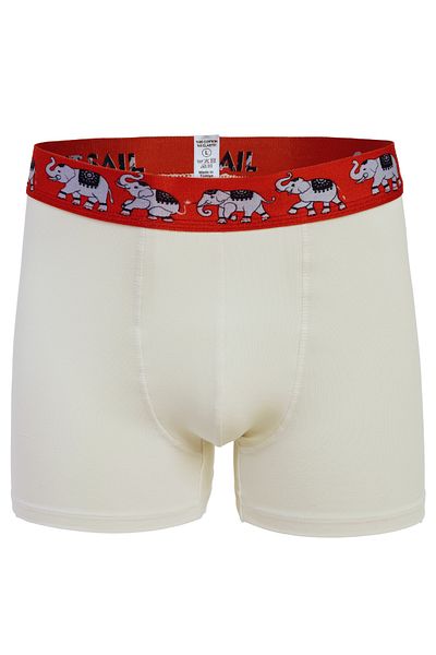 Saint Sail Gift Cotton Comfortable Printed Colorful Men's Boxers