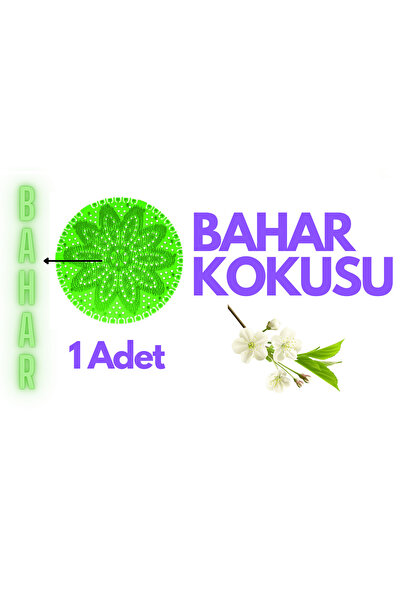 Awion Lavabo Pisuvar Süzgeci Koku Giderici Bahar Kokusu - Çok Amaçlı Koku Gid...
