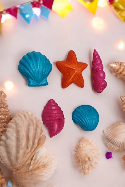 Home Deniz Kabuğu Ve Yıldız Magnet Seti 4,5 - 7 Cm