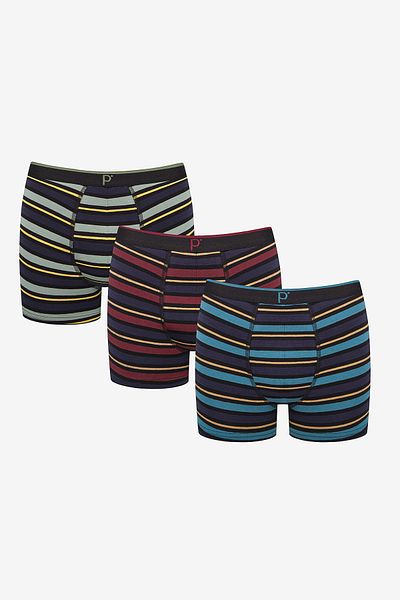 Penti Detaillierte 3-teilige gestreifte mehrfarbige Boxershorts