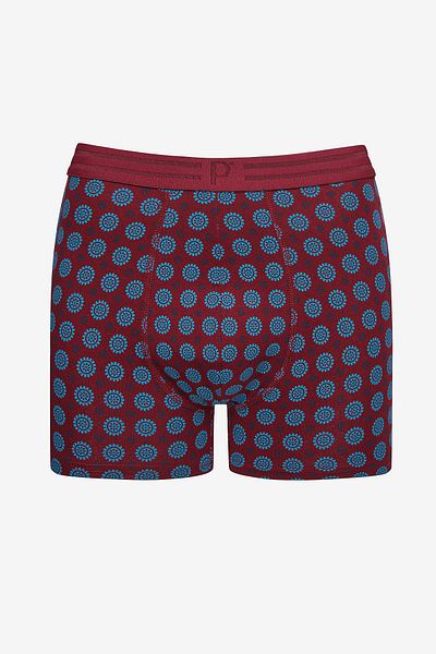 Penti Fun Triple Multicolor Boxers