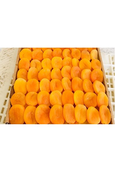 TOPRAKDAN ORGANİK KAYISI KURUSU 1 KG