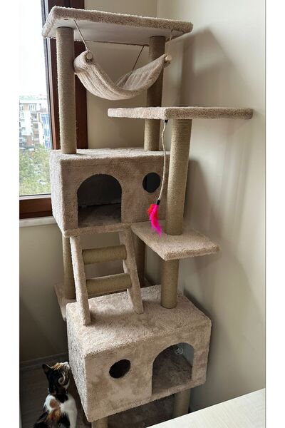 pethomealpi Cat Scratching House and Play Platform 100% Warranty Free Shipping