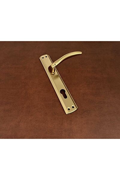 KOLDOOR Özen Trim Titanyum Lüx Aynalı Yale Çelik Kapı Kolu Sağ Basar Tek Yön