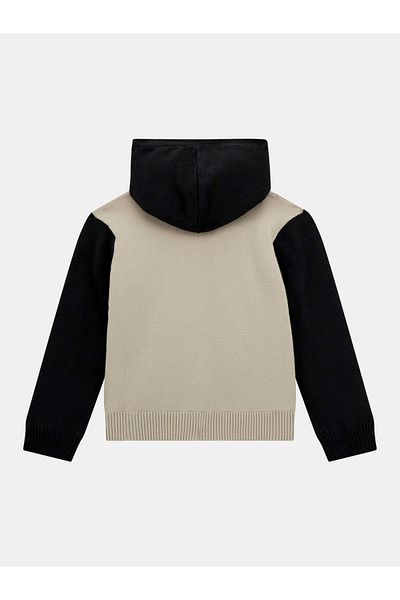 Guess Hooded Ls Sweater W