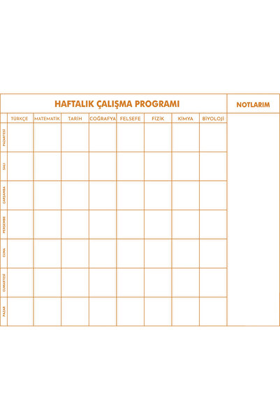 Cengo Statik Kağıt 9-10-11-12.Sınıf Haftalık Ders Çalışma Programı