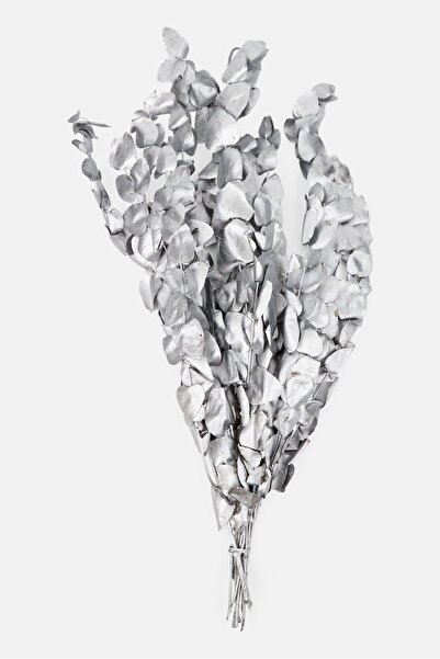 Muy Mucho Dried Spiral Eucalyptus Flowers 70 cm, Gold