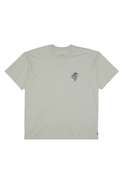 BİLLABONG Billabong Men's T-Shirt: Enter the Dragon Grey