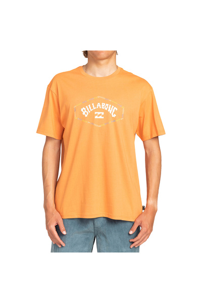 BİLLABONG Billabong Exit Arch Men's Color T-Shirt