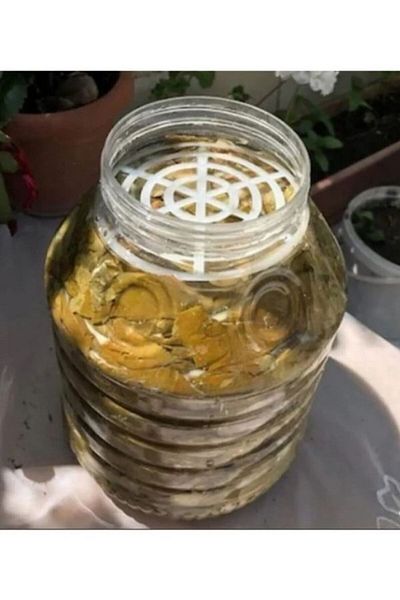 Viyalente 10 Jar, Canister Separator, Pickle, Leaf, Canned Press Separator