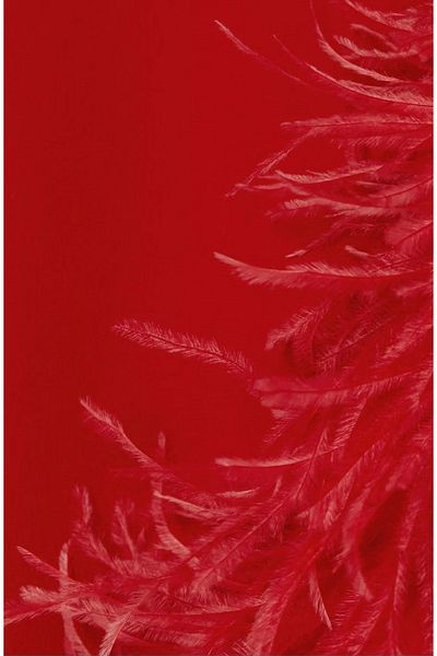 BAMOR Red Otrish Maxi Dress with Slit Feather Detail