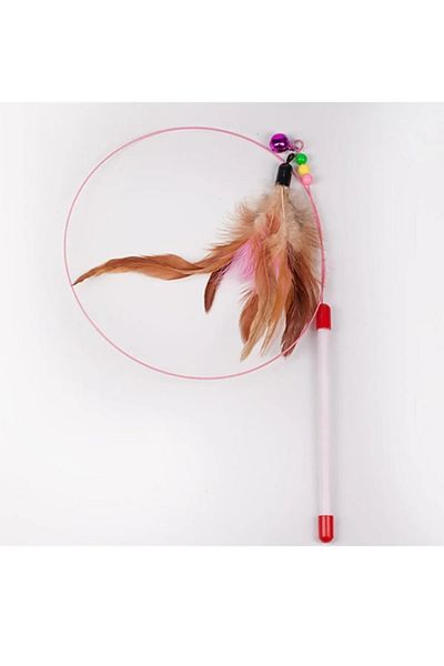 Friends Cat Play Fishing Rod with Fish Tip