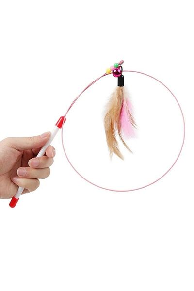 Friends Cat Play Fishing Rod with Fish Tip
