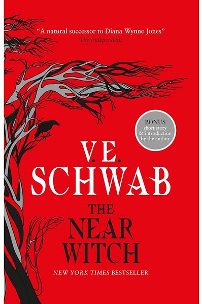 Penguin Books The Near Witch - V E Schwab