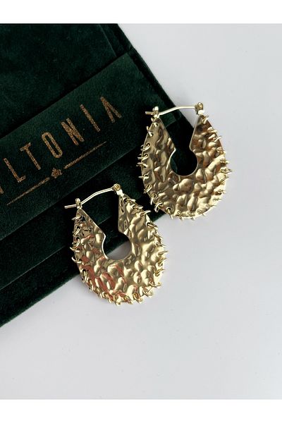 Miltonia Large Heavy Modern Design Steel Earrings