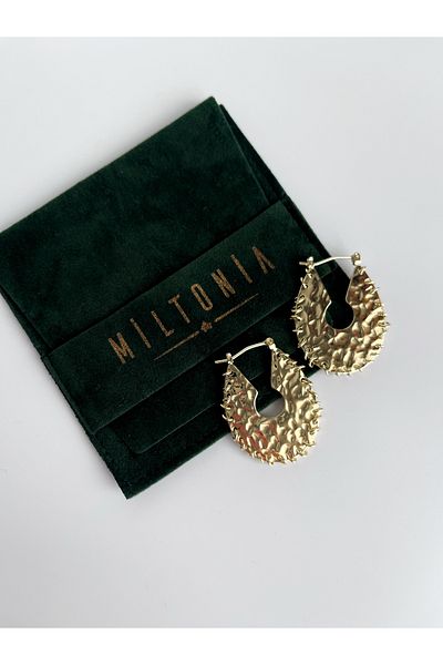Miltonia Large Heavy Modern Design Steel Earrings