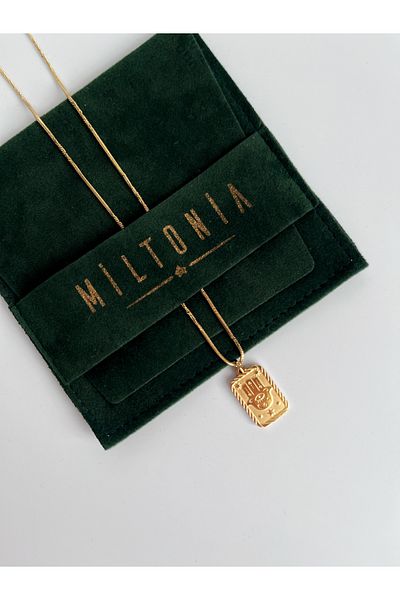 Miltonia Fatima's Hand Steel Necklace