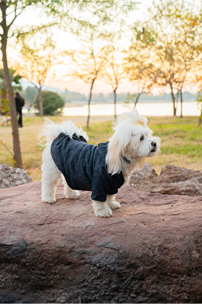 Buddy Store Kedi & Köpek Kıyafeti Elbiseleri Kıyafetleri Sweatshirt - Kırçıll...