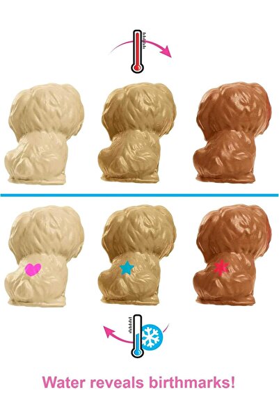 Barbie مجموعة لعب الجراء حديثي الولادة - دمية شقراء مع أم كلب و3 جراء