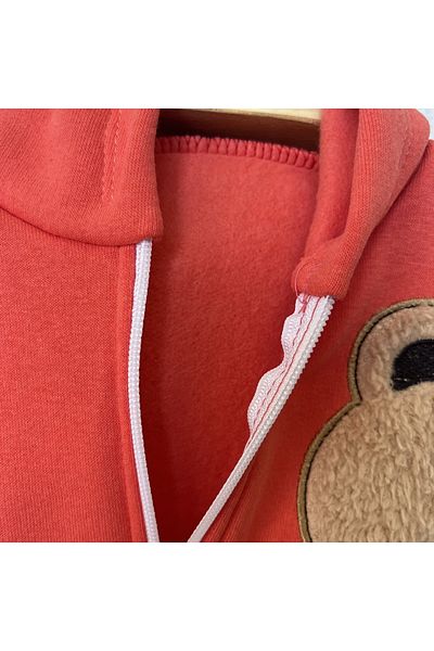 sally baby 3 Thread Winter Hooded Inside, Welsoft Bear Pattern, Zippered, Hooded Bottom and Top Set, Tracksuit Set