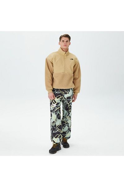 THE NORTH FACE Ανδρικό φούτερ με ψηλό πάσσαλο Fleece 1/4 σε μπεζ γιακά
