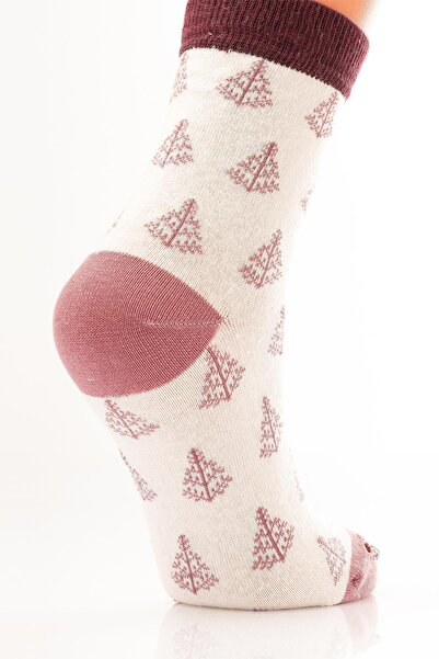 Miorre Set of 3 Socks