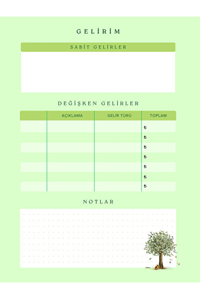 Store Budget Planning Notebook