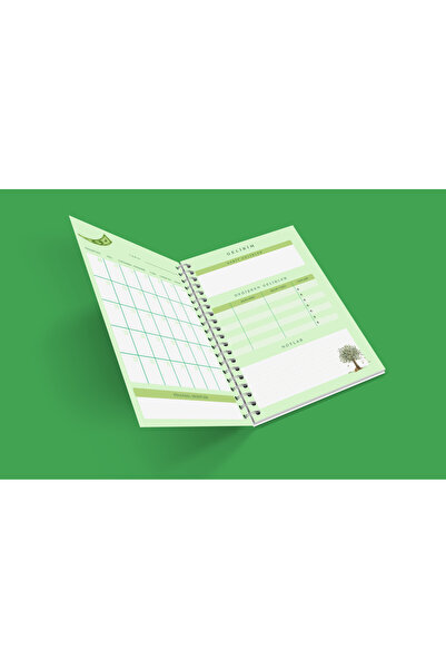 Store Budget Planning Notebook