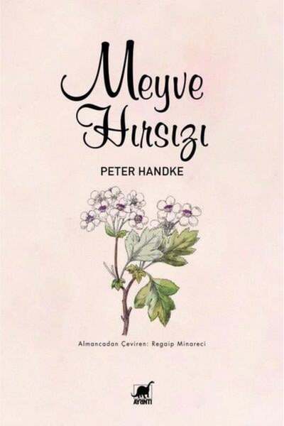 Ayrıntı Yayınları Meyve Hırsızı Peter Handke Kitabı 320 Sayfa Ayrıntı Yayınları