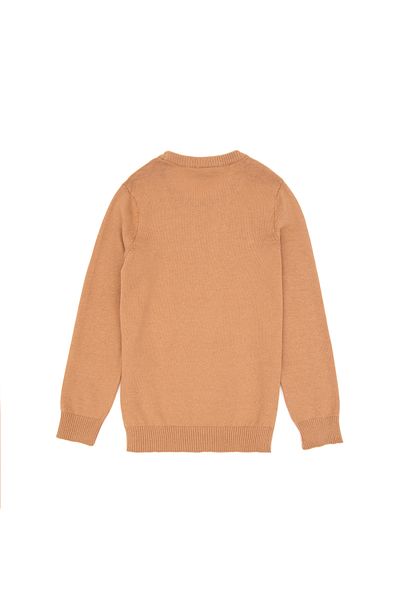 U.S. Polo Assn. Базов пуловер с кръгла яка за момче Camel 50288890 -Vr015
