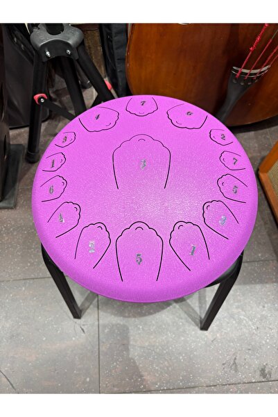 Tonal 14 inc Tongue Drum