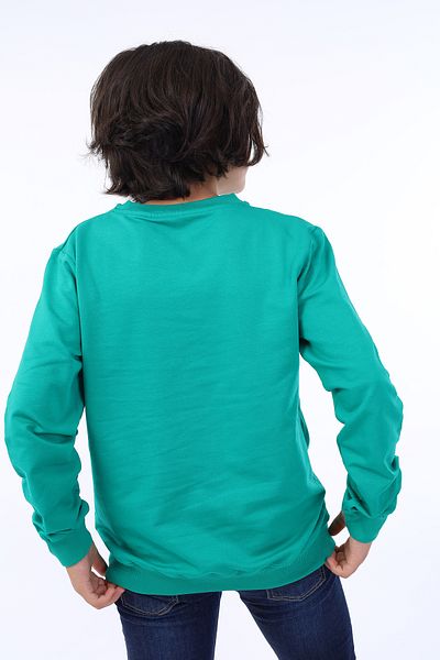 Toontoy Boy's Sweatshirt - Printed