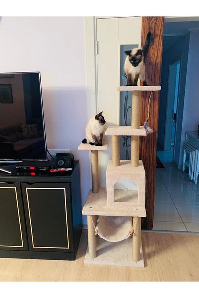 pethomealpi Luxury Cat Scratching and Play Platform - with Hammock and Nest