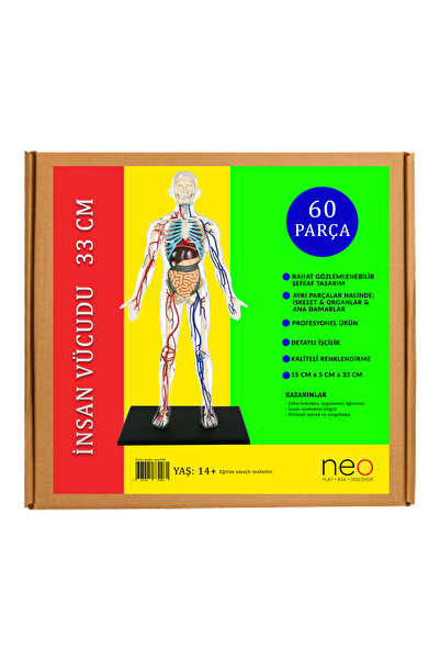 neo oyna sorgula keşfet İnsan Vücudu 34 cm 60 Parça