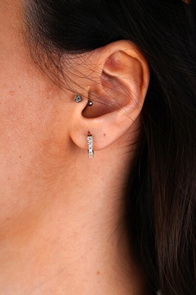 Arpaş Güzide 14 Ayar Altın Taşlı Küpe