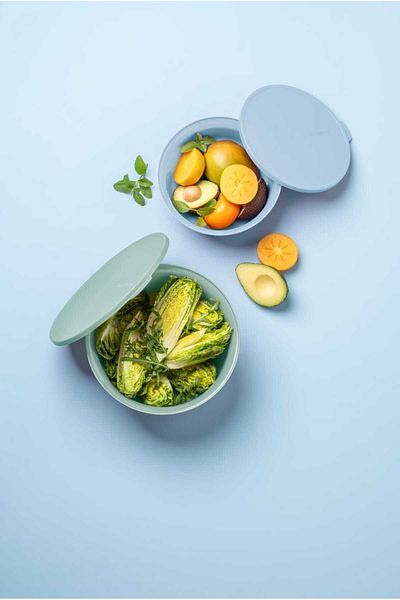 Tupperware Aloha Dough Grooming - Set of 2