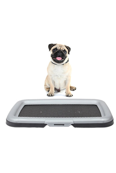 A.G ARSLAN GÜNDOĞDU Plastik Akıllı Köpek Tuvaleti