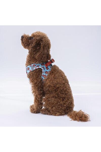 Pawstar Bears Air-mesh Chest Collar Cat Dog Chest Collar