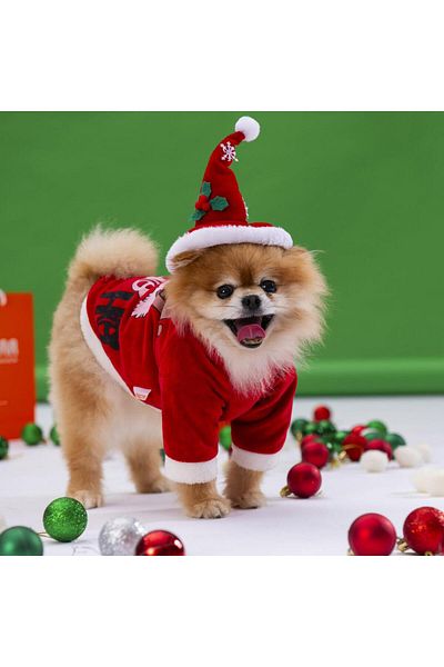 Pawstar Christmas Slogan Small And Medium Breed Dog Sweati Dog Outfit