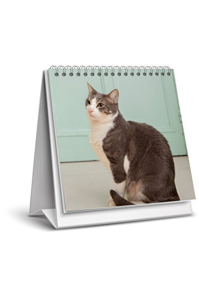 NATURELBASIM 2026 KEDİ MASA TAKVİMİ